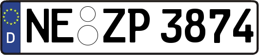 NE-ZP3874