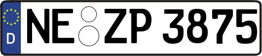 NE-ZP3875