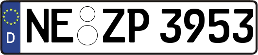 NE-ZP3953