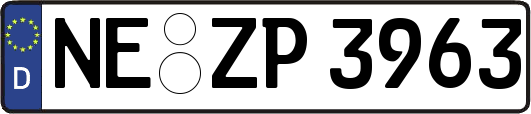 NE-ZP3963