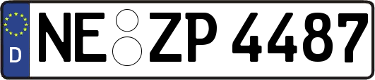 NE-ZP4487