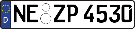 NE-ZP4530
