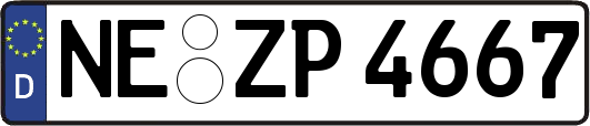 NE-ZP4667