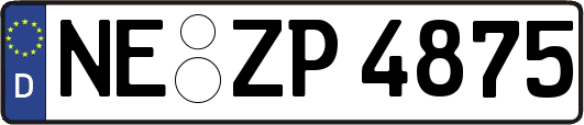 NE-ZP4875