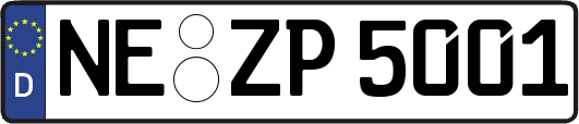 NE-ZP5001