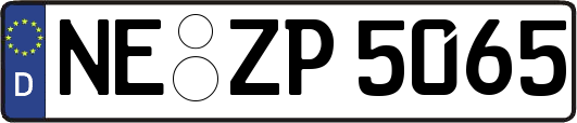 NE-ZP5065