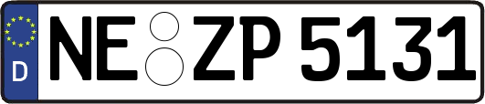 NE-ZP5131