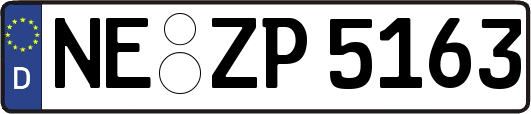 NE-ZP5163
