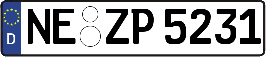 NE-ZP5231