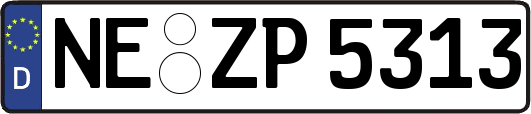 NE-ZP5313