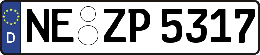 NE-ZP5317