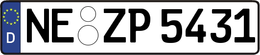 NE-ZP5431