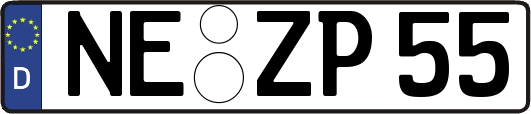 NE-ZP55
