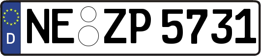 NE-ZP5731