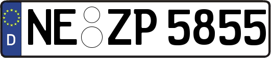 NE-ZP5855