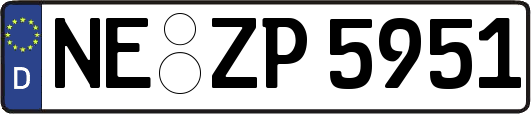 NE-ZP5951