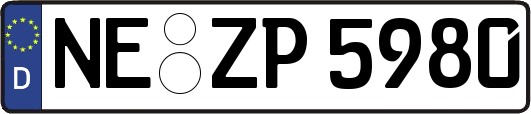 NE-ZP5980