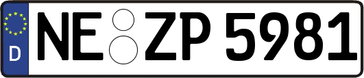 NE-ZP5981