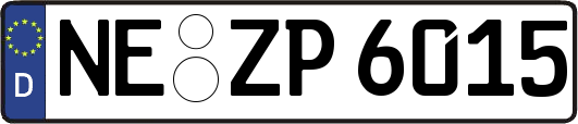 NE-ZP6015