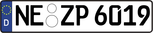 NE-ZP6019