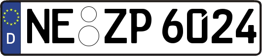 NE-ZP6024