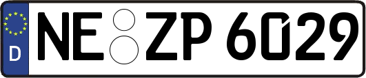 NE-ZP6029