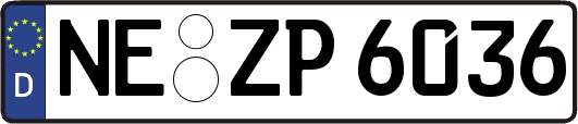 NE-ZP6036