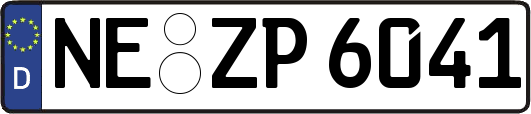 NE-ZP6041