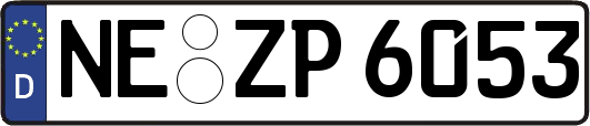 NE-ZP6053