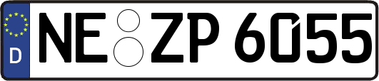 NE-ZP6055