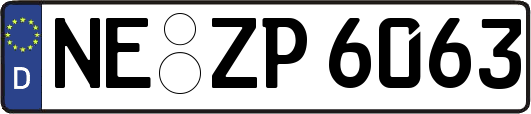 NE-ZP6063