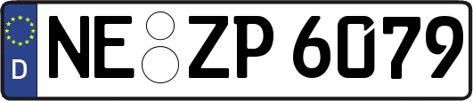 NE-ZP6079