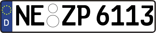 NE-ZP6113