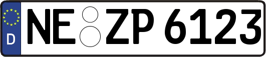 NE-ZP6123