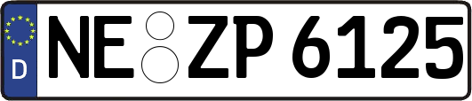 NE-ZP6125