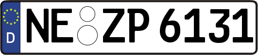 NE-ZP6131
