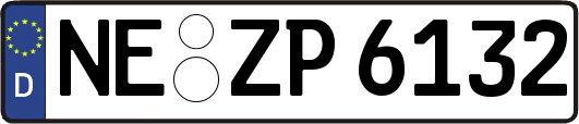 NE-ZP6132