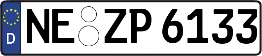 NE-ZP6133