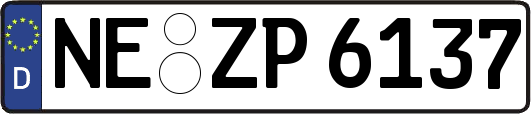 NE-ZP6137