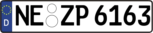NE-ZP6163