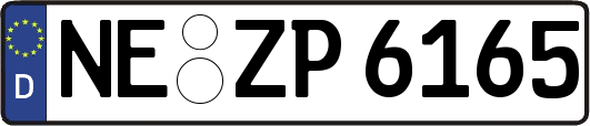 NE-ZP6165