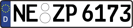 NE-ZP6173