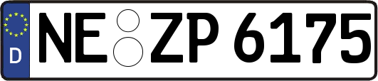 NE-ZP6175