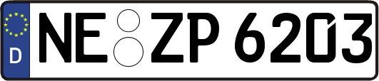 NE-ZP6203