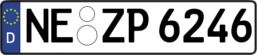 NE-ZP6246