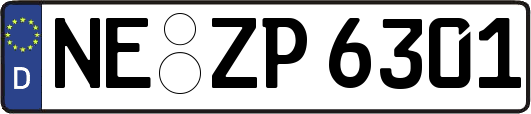 NE-ZP6301
