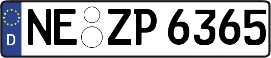 NE-ZP6365