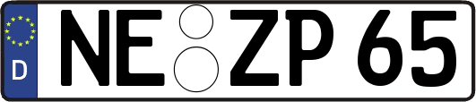 NE-ZP65