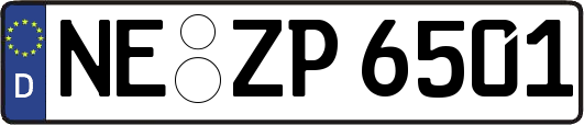 NE-ZP6501
