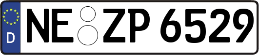 NE-ZP6529